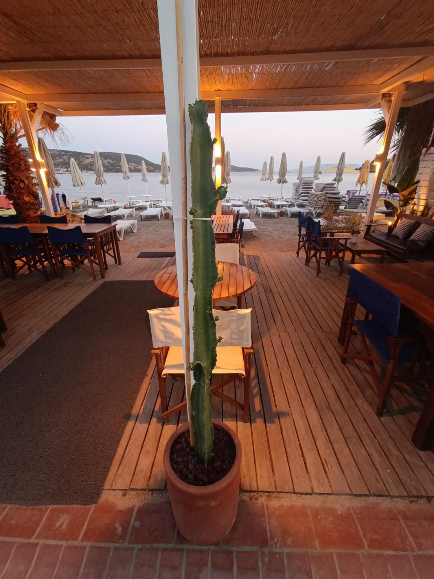 Uzhan Beach Hotel Bitez Exteriér fotografie